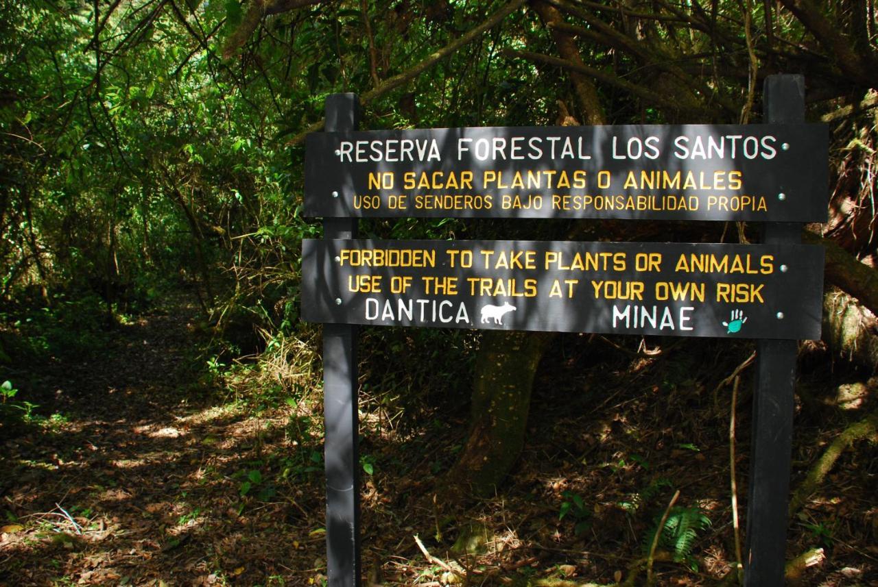 Dantica Cloud Forest Lodge San Gerardo de Dota Exterior foto