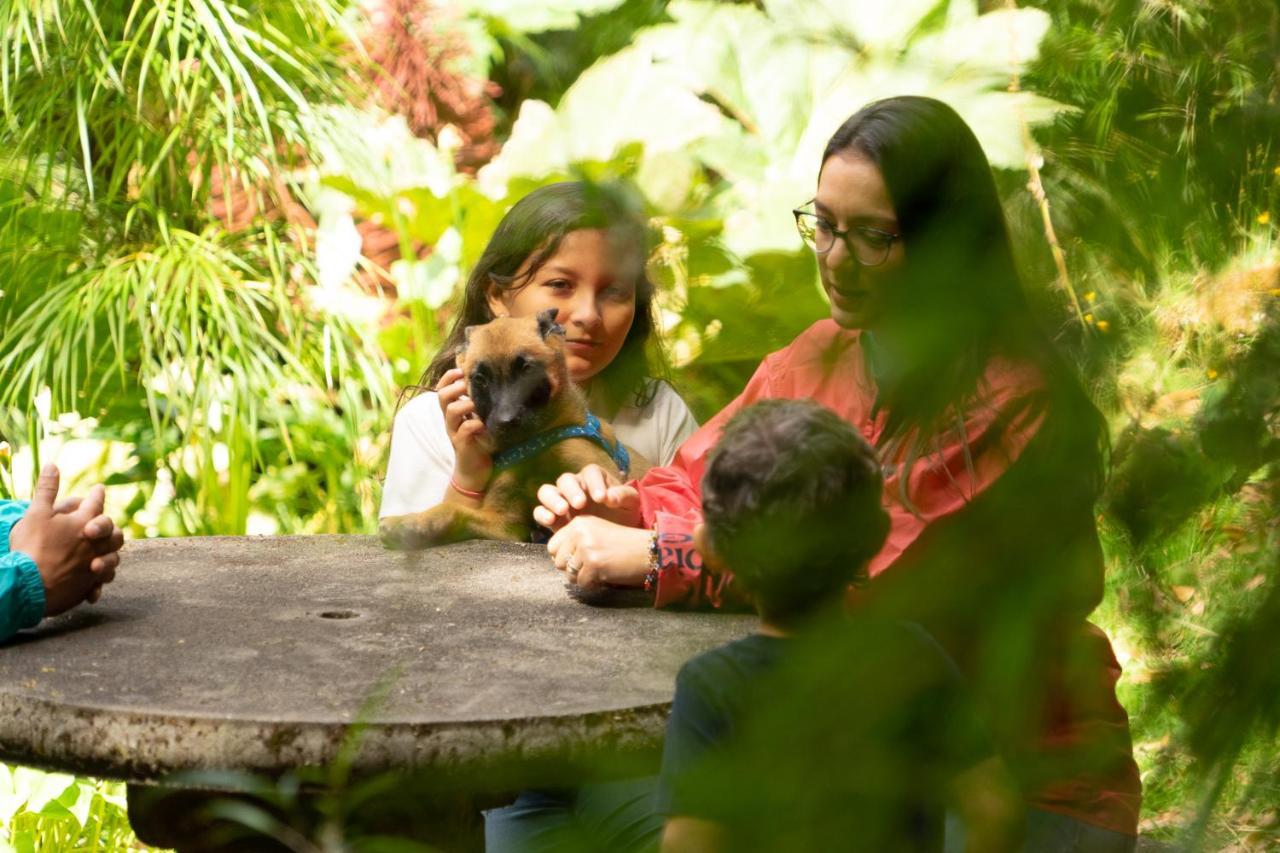 Dantica Cloud Forest Lodge San Gerardo de Dota Exterior foto