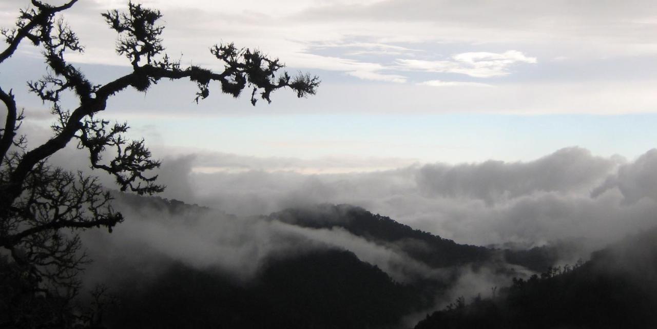 Dantica Cloud Forest Lodge San Gerardo de Dota Exterior foto