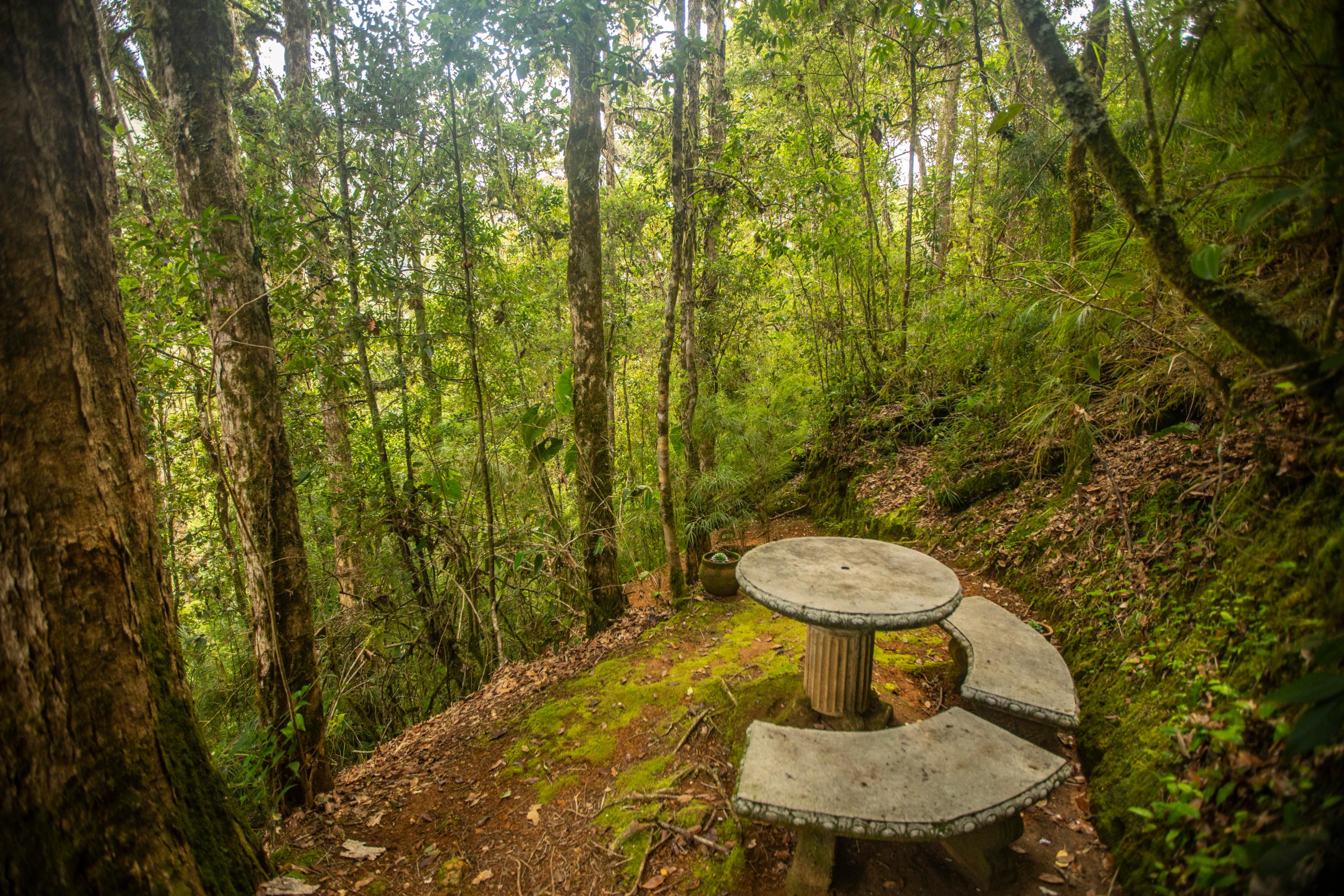 Dantica Cloud Forest Lodge San Gerardo de Dota Exterior foto