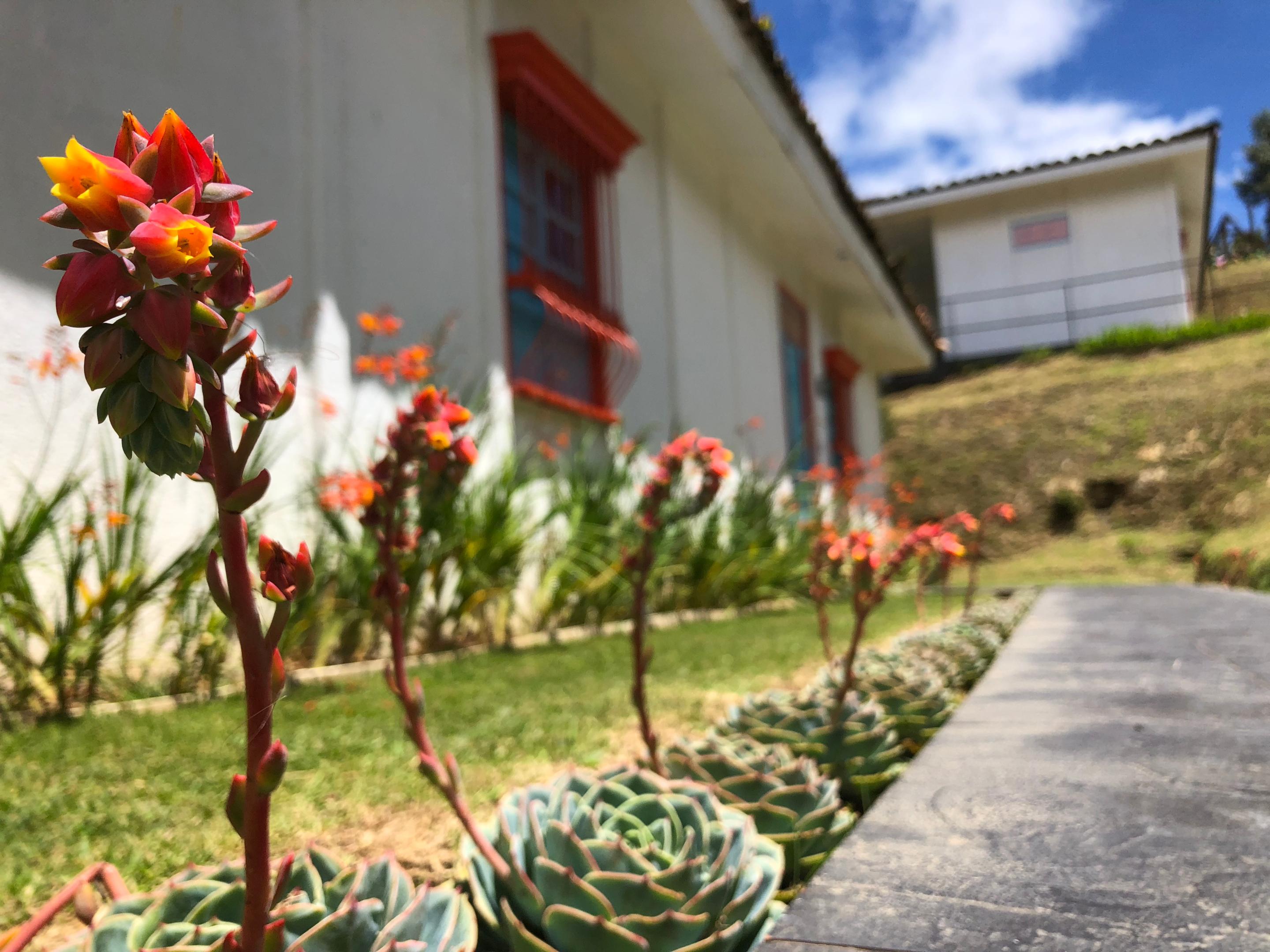 Dantica Cloud Forest Lodge San Gerardo de Dota Exterior foto