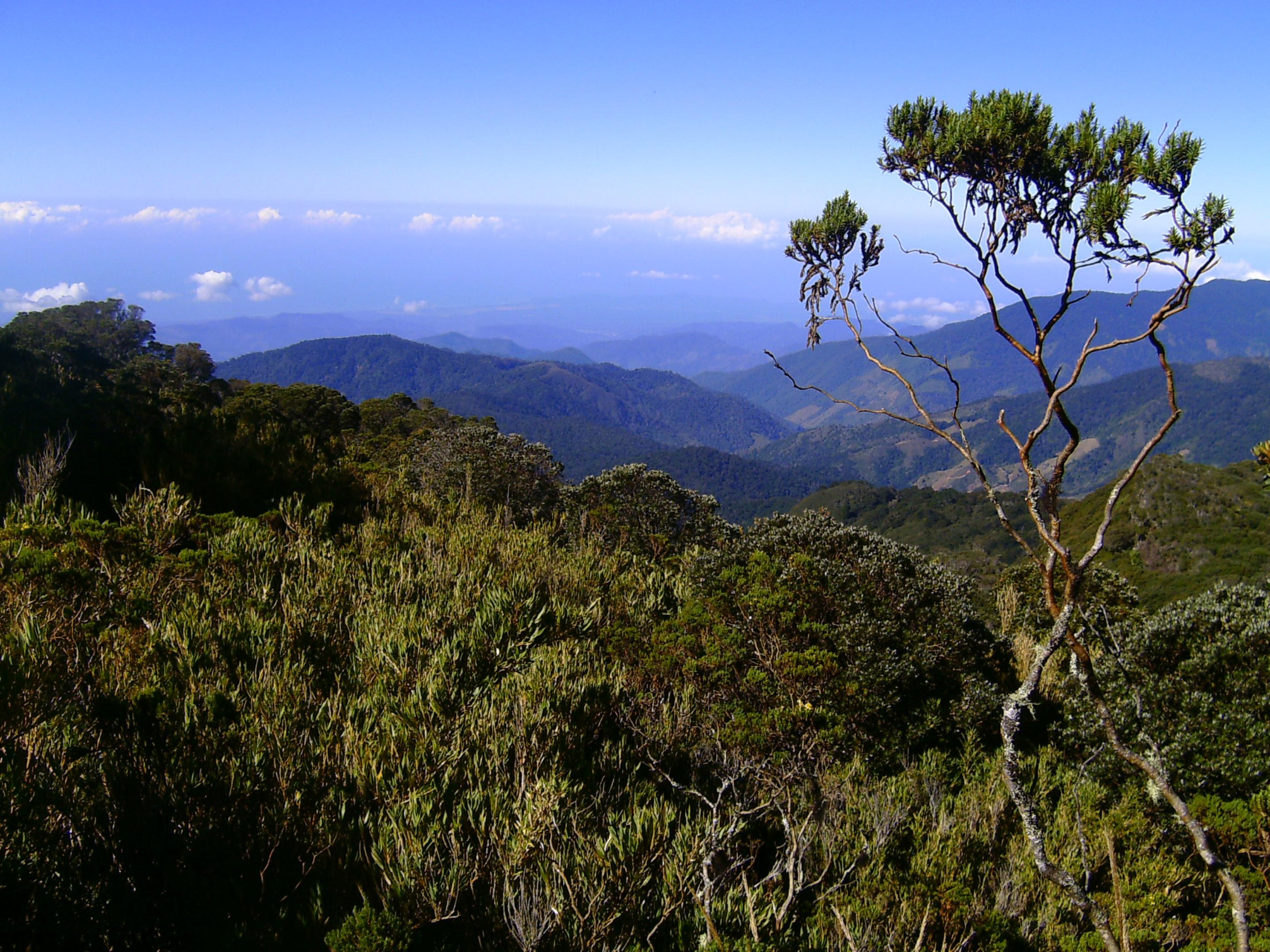 Dantica Cloud Forest Lodge San Gerardo de Dota Exterior foto