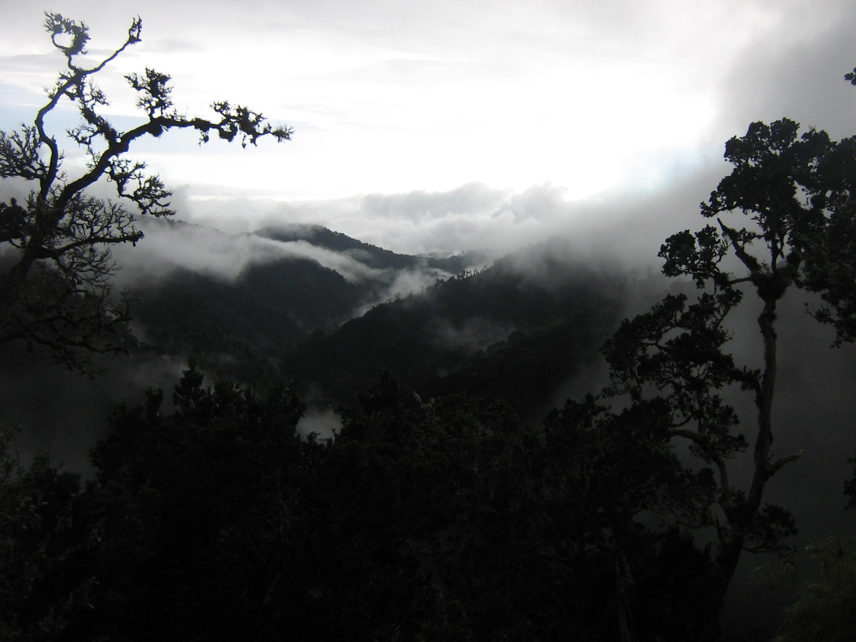 Dantica Cloud Forest Lodge San Gerardo de Dota Exterior foto