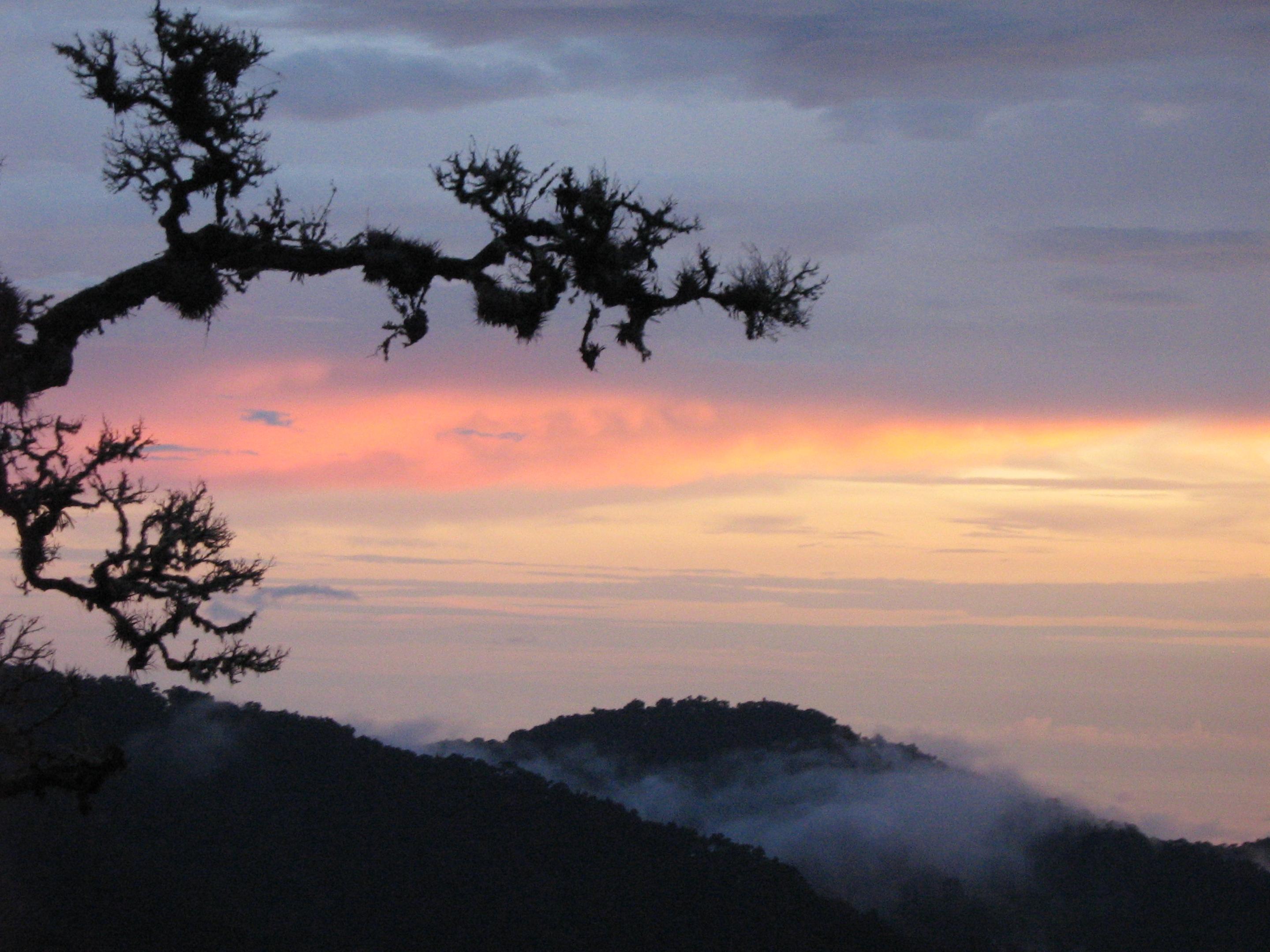 Dantica Cloud Forest Lodge San Gerardo de Dota Exterior foto