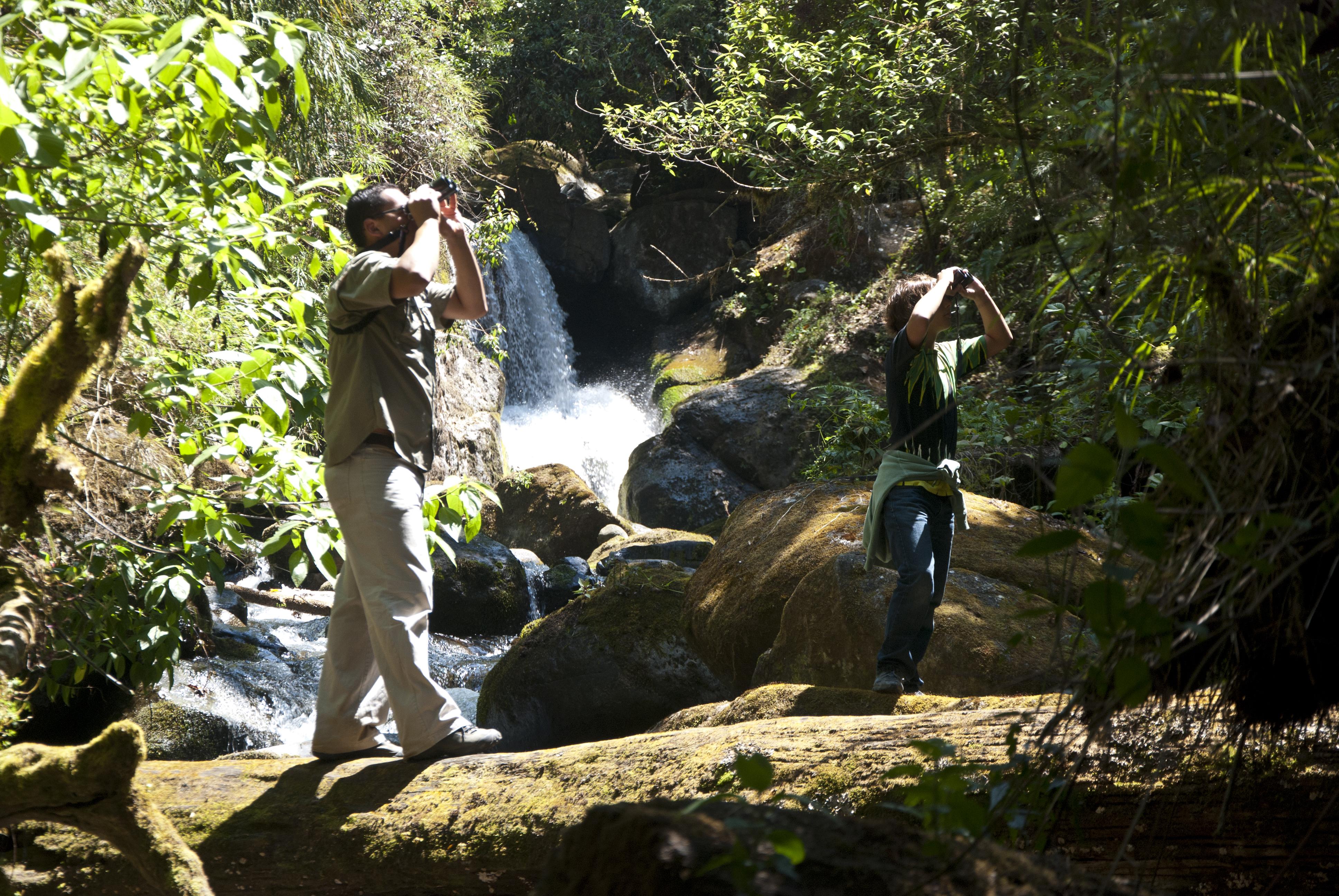 Dantica Cloud Forest Lodge San Gerardo de Dota Exterior foto