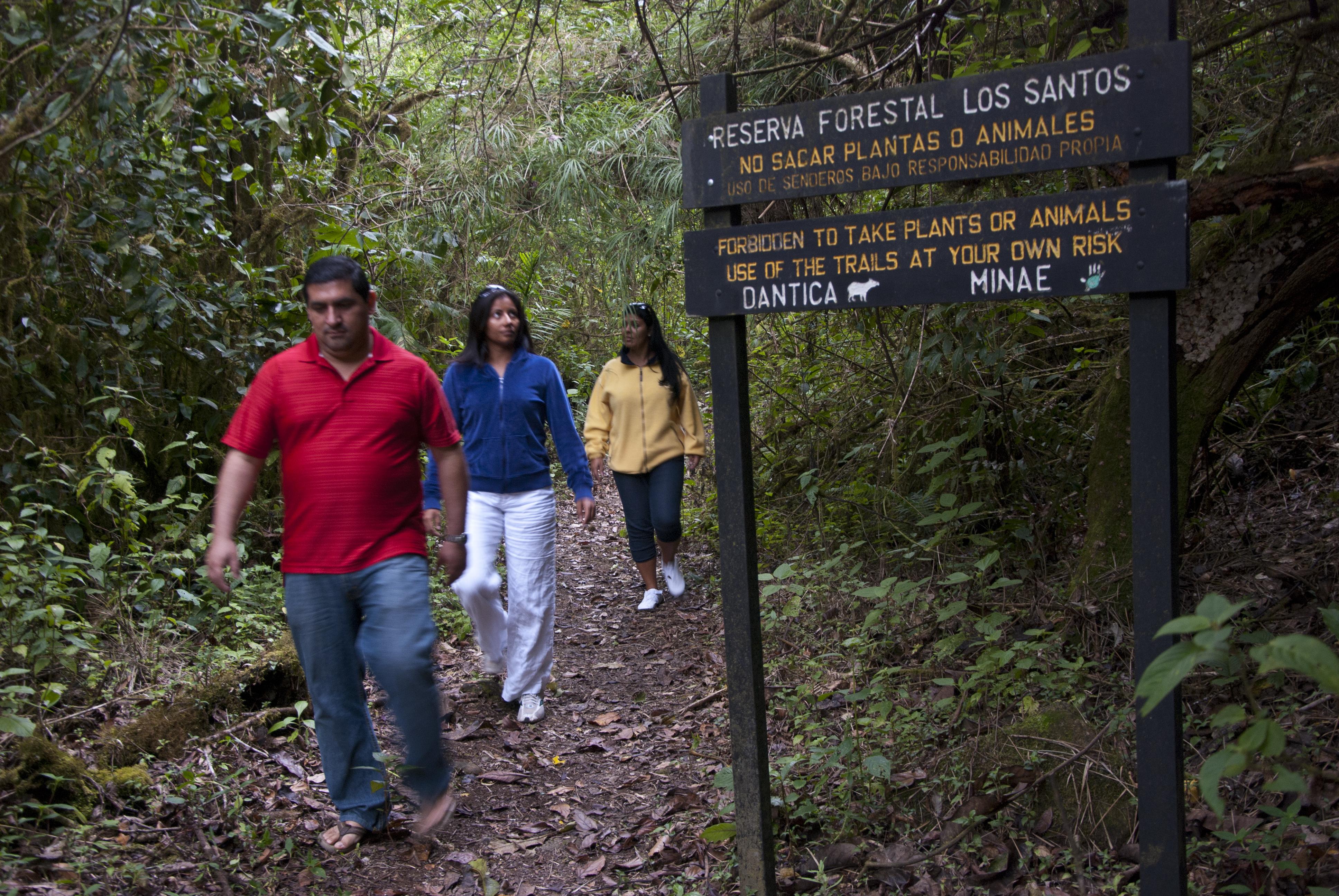 Dantica Cloud Forest Lodge San Gerardo de Dota Exterior foto