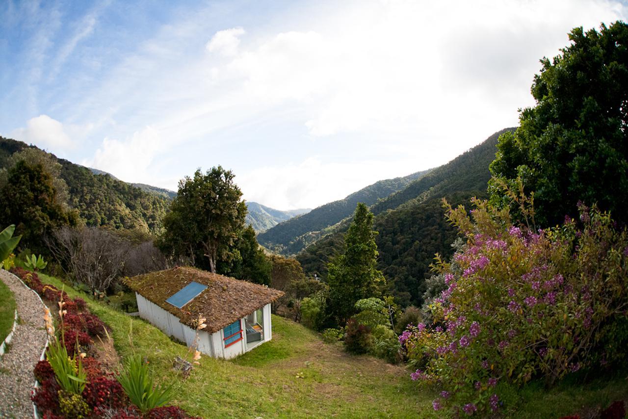 Dantica Cloud Forest Lodge San Gerardo de Dota Exterior foto